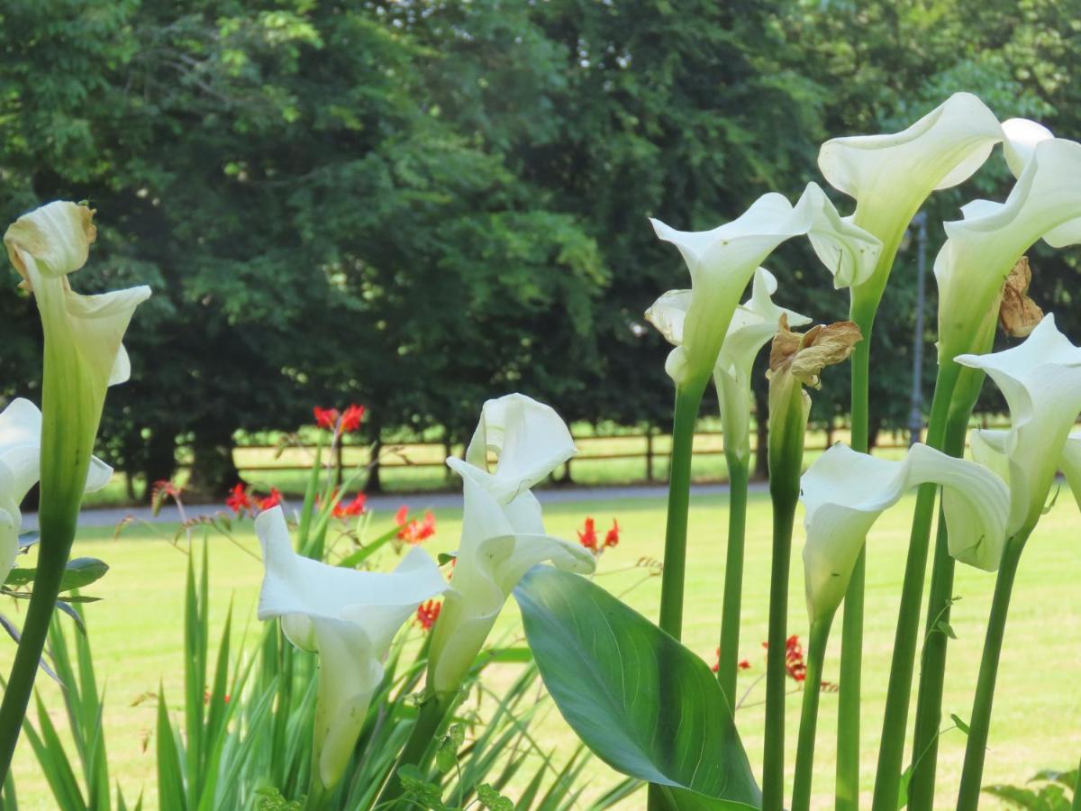 Noan Country House B&B คาเชล ภายนอก รูปภาพ