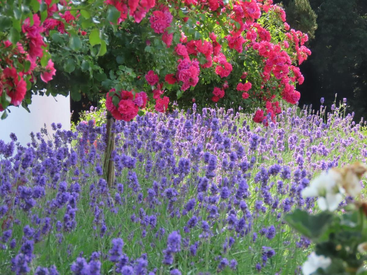 Noan Country House B&B คาเชล ภายนอก รูปภาพ